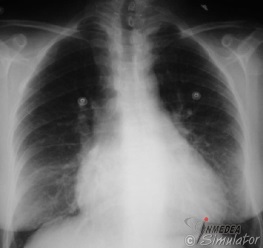 (Bildquelle: www.radiology.med.miami.edu)